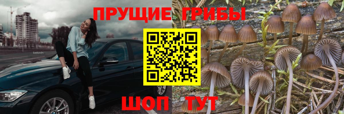 Псилоцибиновые грибы MAGIC MUSHROOMS Калуга